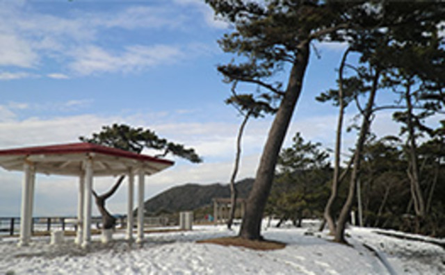 神奈川県立葉山公園